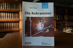 Die Rohrammer. Emberiza schoeniclus.