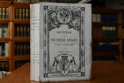 Spanischer Successions-Krieg. Feldzug 1704.