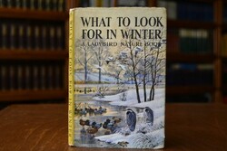 What to look for in winter.
