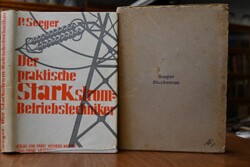 Der praktische Starkstrom-Betriebstechniker.