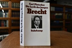 Die Lyrik des jungen Brecht. Vom anarchischen N...