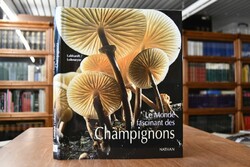 Le Monde fascinant des Champignons.