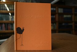 birdmann hans langner - privat