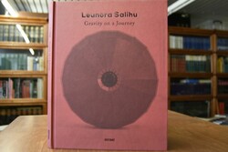 Leunora Salihu. gravity on a journey