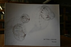 Bettina Lüdicke. Konvex.