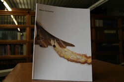 Martin Schneider. Werkauswahl 2002-2017.