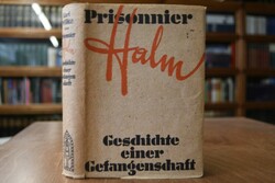 Prissonier Halm. Die Geschichte einer Gefangens...