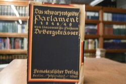 Das schwarz-rot-goldne Parlament und sein Verfa...