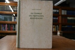 Die Tierwelt des tropischen Regenwaldes.