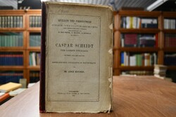 Caspar Scheidt. Der Lehrer Fischarts. Studien z...