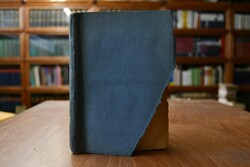 Freunde und Gönner. Roman 3. Band von 3 (apart).