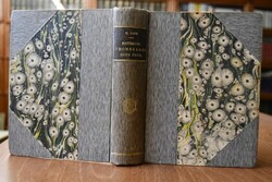 Nouvelles Promenades dans Paris.