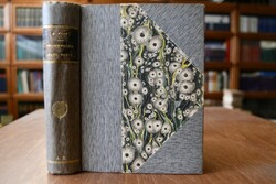 Promenades dans Paris.