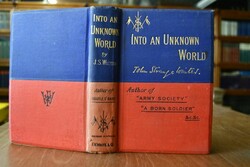 Into an unknown world. A novel.