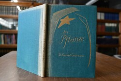 Die Pflanze als dreigliedriges Wesen in ihren W...