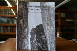 Zwischenzeitlich = In the meantime.