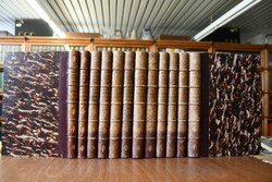 Oeuvres Oratoires de Bossuet. Edition critique ...