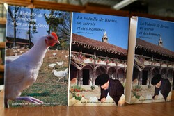 La Volaille de Bresse, un terroir et des hommes...