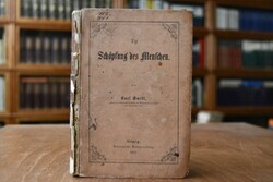 Die Schöpfung des Menschen.