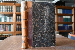 Pathologie und Therapie der psychischen Krankhe...