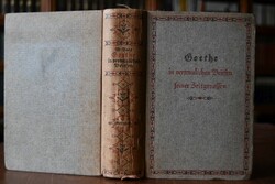 Goethe in vertraulichen Briefen seiner Zeitgeno...