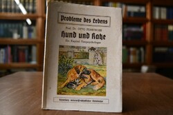 Hund und Katze. Ein Kapitel Tierpsychologie.