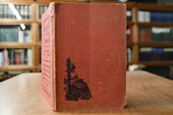 Fremden-Führer für Wildbad im württemb. Schwarz...