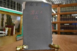 Janus. Jahrbücher deutscher Bildung, Gesinnung ...