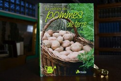 La culture des pommes de terre.