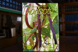 La culture des haricots & des pois.