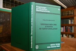 Überwachen und Strafen im Territorialstaat. Bed...