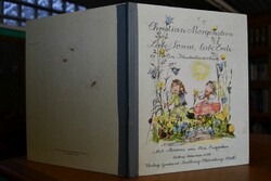 Liebe Sonne, liebe Erde. Ein Kinderliederbuch m...