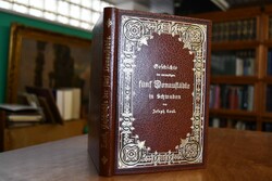 Geschichte der vormaligen fünf Donaustädte in S...