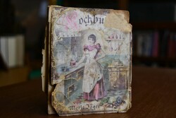 Illustriertes Kochbuch für einfache und feine K...