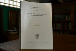 Sozialer Wandel und politische Dominanz in Bade...