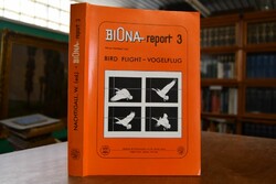 Bird Flight - Vogelflug.