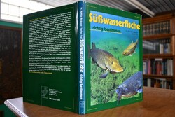 Süßwasserfische richtig bestimmen.