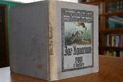 Das Süßwasseraquarium ein Stück Natur im Hause.