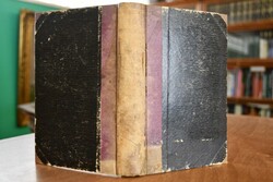 Beiträge zur Geschichte der Bastille in Auszüge...