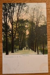 Weissenfels a.d.S., Bad-Allee.