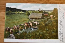 Schwarzwaldlandschaft (bei Königsfeld)