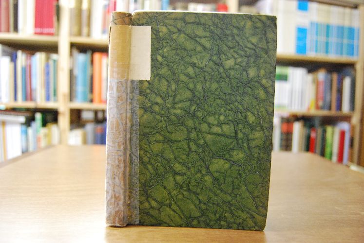 Mittheilungen aus dem Tagebuche von Hilmar Ernst Rauschenbusch weiland Pastor der evangelisch-lutherischen Gemeinde zu Elberfeld. Ein Beitrag zur evangelischen Pastoral-Theologie, zugleich als Anhang zur Lebensbeschreibung von Rauschenbusch.