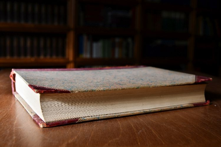 Giacomo Casanova und sein Lebensroman. Historische Studien zu seinen Memoiren.