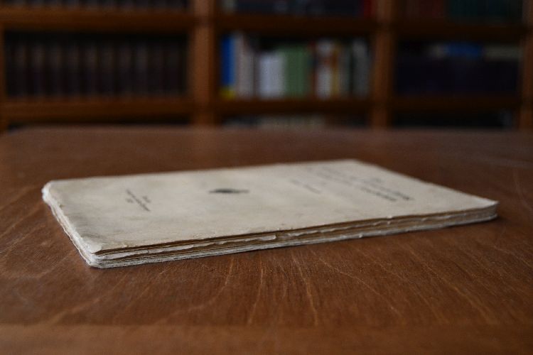 Über katalytische Verursachung im biologischen Geschehen.