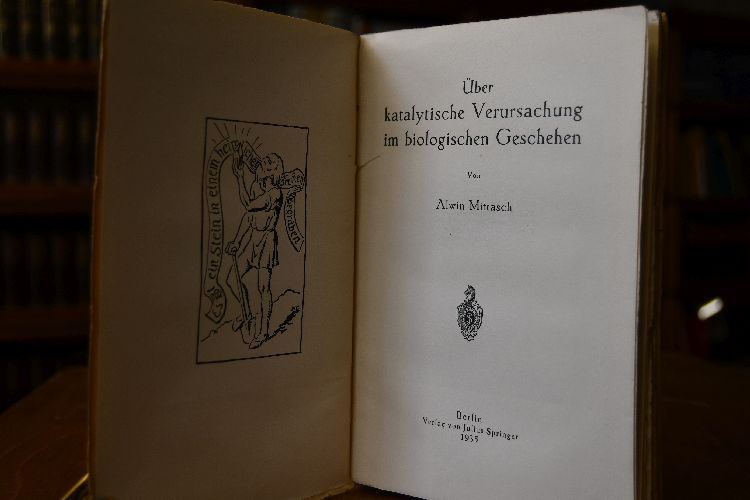 Über katalytische Verursachung im biologischen Geschehen.