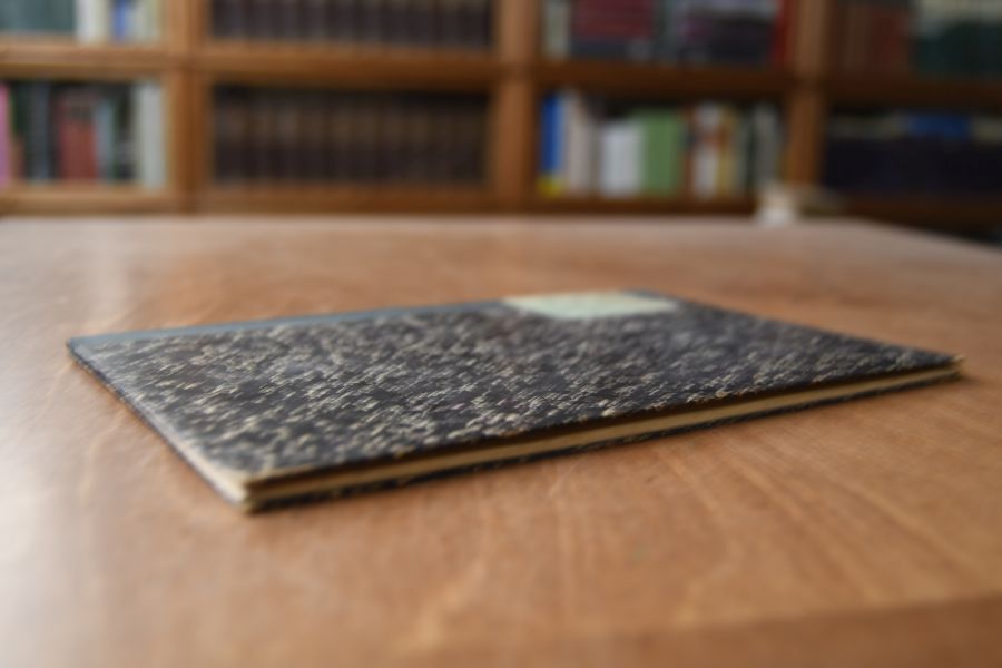 Max Reger und Karl Straube.