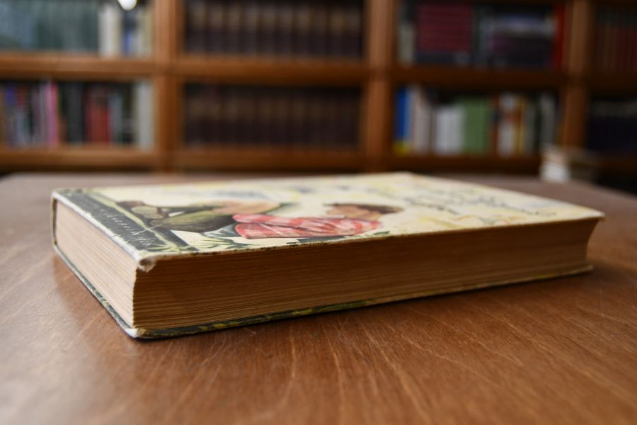 Der deutschen Jugend neues Wunderhorn. Das Fridolin-Jahrbuch 1928.