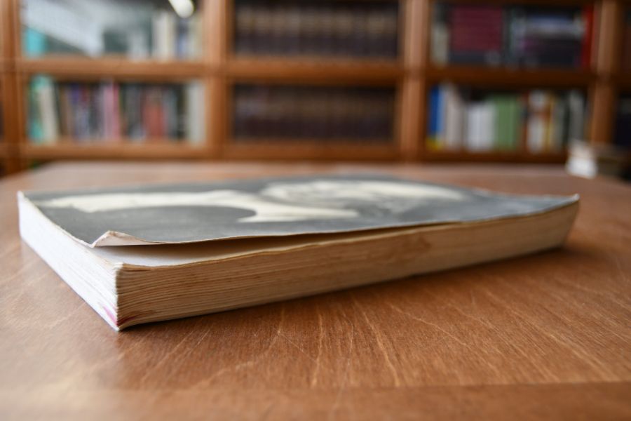Hölderlin. Philosophie und Dichtung.