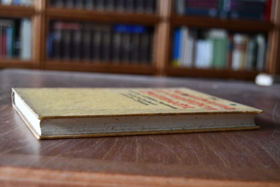 Die Vernichtung der englischen Weltmacht und des russischen Zarismus durch den Dreibund und den Islam.