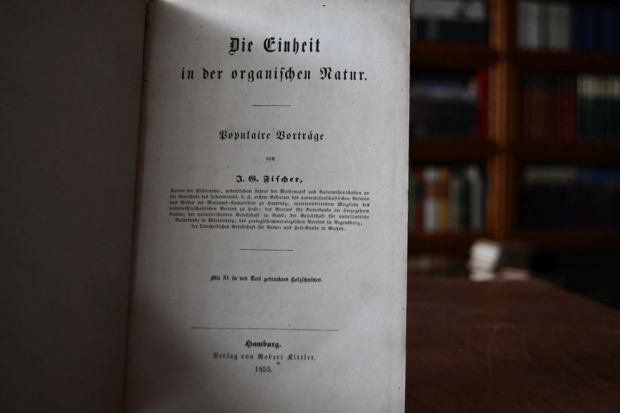 Die Einheit in der organischen Natur. Populäre Vorträge.